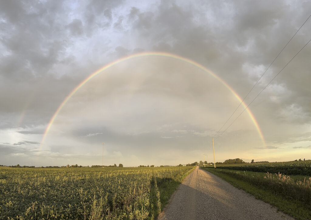 Rainbow over corn fields and back road in Indiana. 